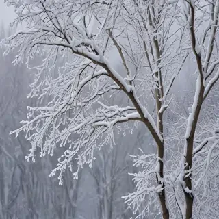 winter images