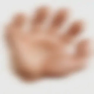 paw png