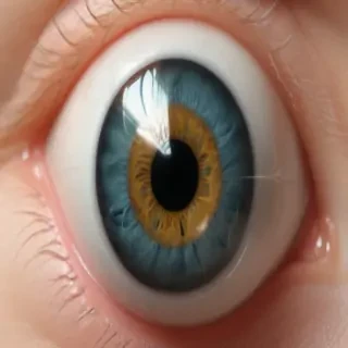 eyeball png