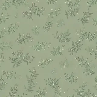 sage green bg
