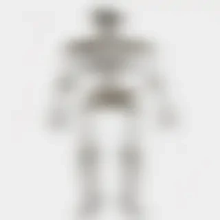 skeleton transparent background