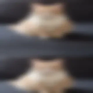 cat back round