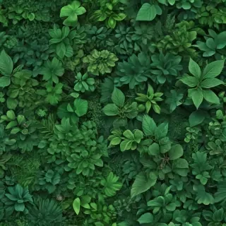 green backgrounds aesthetic