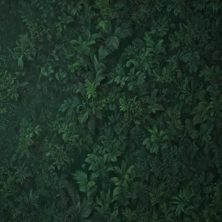 dark green colour wallpaper