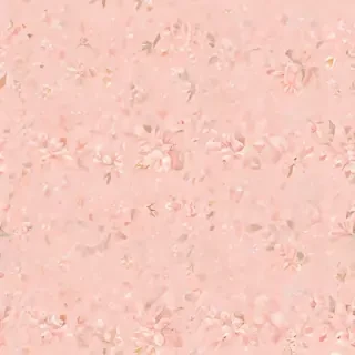 light peach background