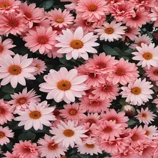 wallpaper aesthetic flowers