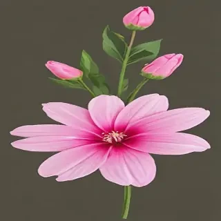 pink flower png