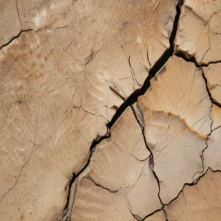crack texture