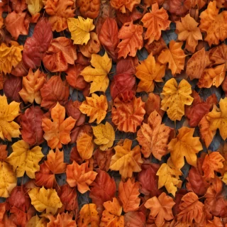 png fall leaves