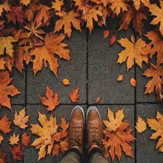 fall wallpaper iphone aesthetic