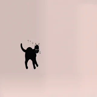 cat aesthetic wallpaper