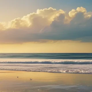 summer beach background