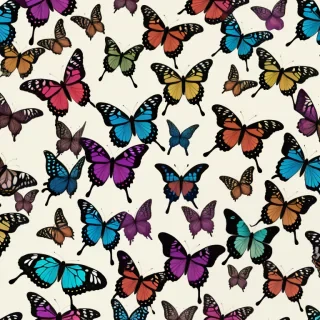 butterfly wallpaper pictures