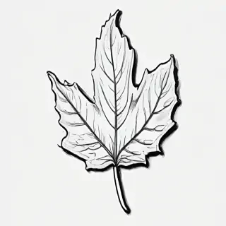 clipart leaf black and white