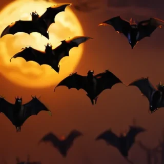 pictures of halloween bats
