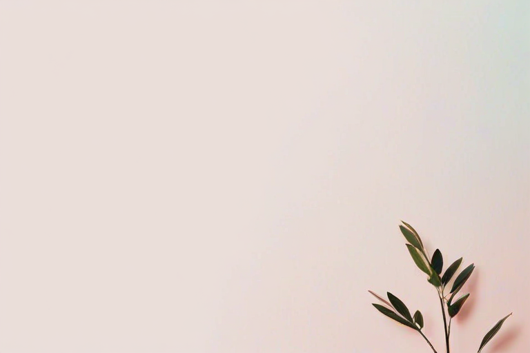 aesthetic minimalist wallpaper