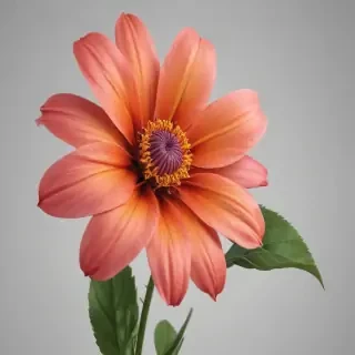 aesthetic flower png