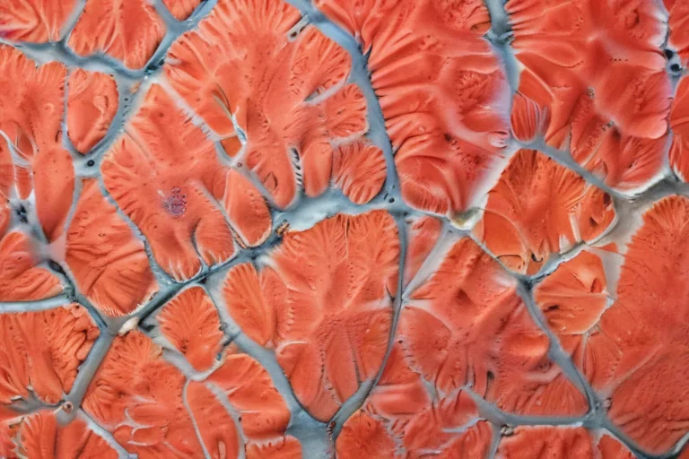 coral color