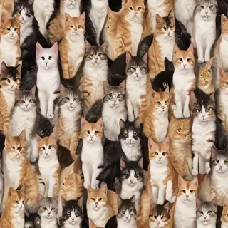 background wallpaper cats
