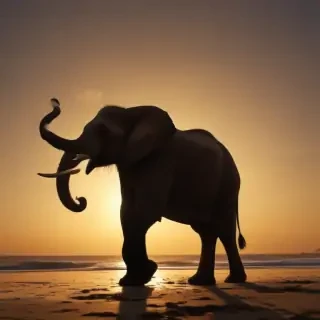 elephant silhouette