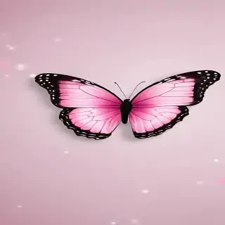 cute pink butterfly wallpaper