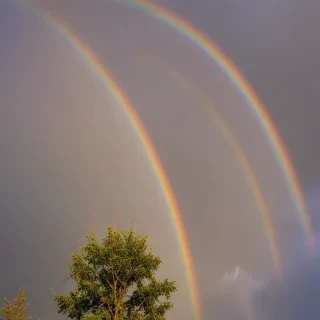 rainbow pictures