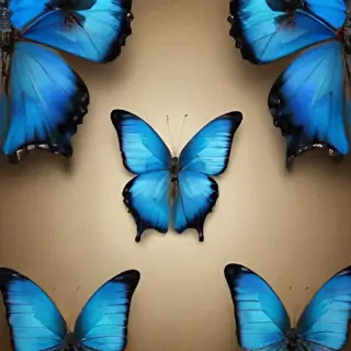 blue butterfly