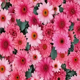 iphone backgrounds flowers