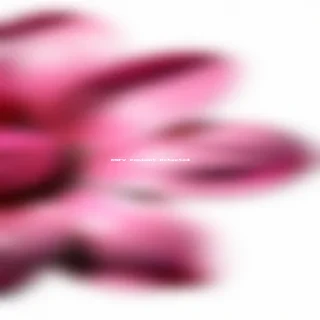 pink flower png