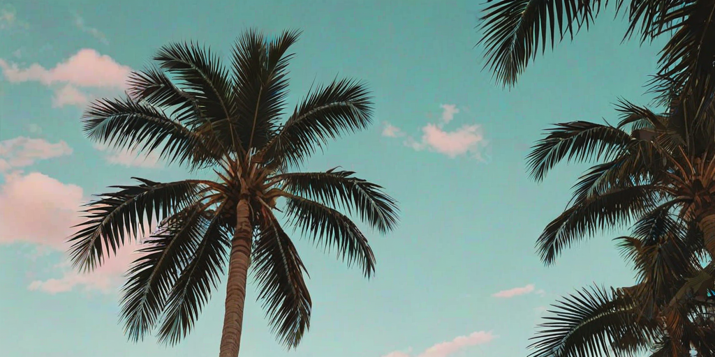 aesthetic palm tree wallpaper