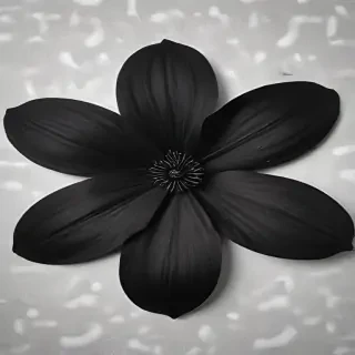 black flower