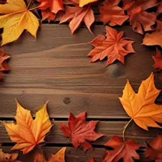 autumn wallpaper phone