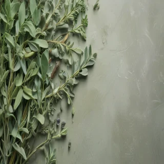 sage green images