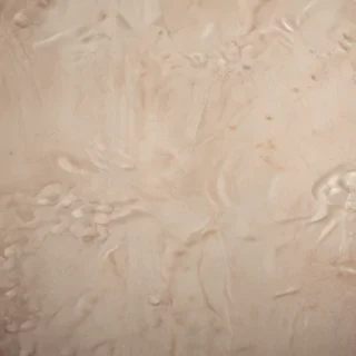 classy neutral iphone wallpaper