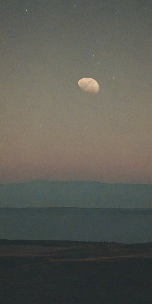 vintage moon
