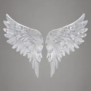 wings transparent