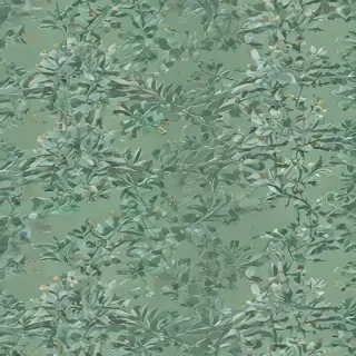 sage aesthetic wallpaper