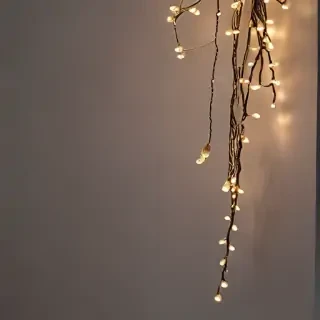fairy lights png