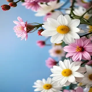 spring wallpaper phone