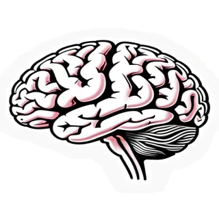 brain images for drawing