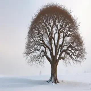 winter tree png