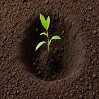soil png