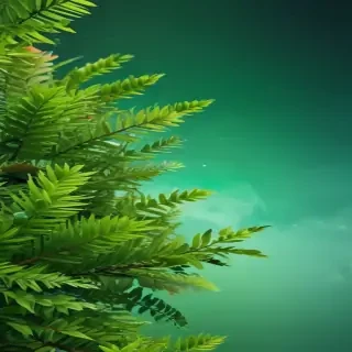 green background for iphone