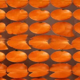 cute orange background