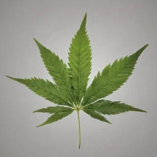 weed leaf png