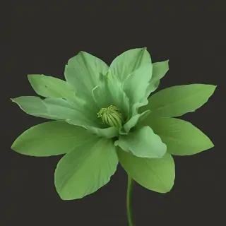 green flower png