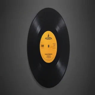 vinyl png