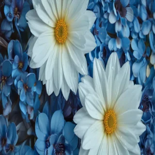 flower background blue