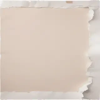 aesthetic ripped paper png