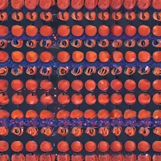 zoom backgrounds